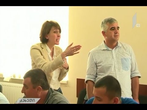 ხმაური ყვარლის მუნიციპალიტეტის საკრებულოს სხდომაზე